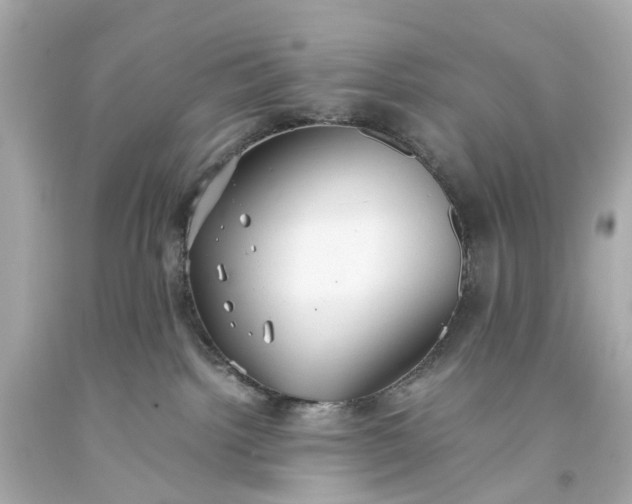 X0000093590092200710291131