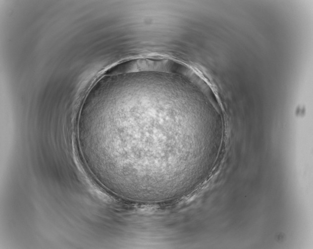 X0000093590097200710291130
