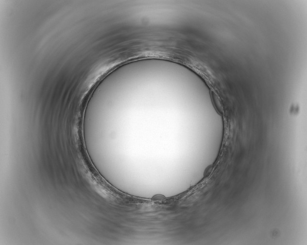 X0000093590098200710291130