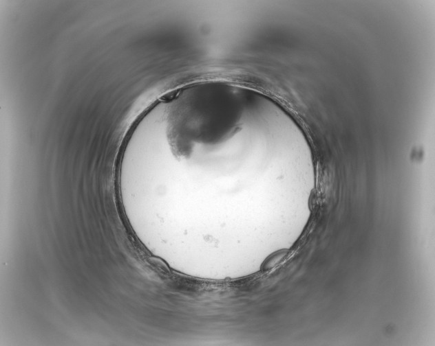 X0000093590099200710291130