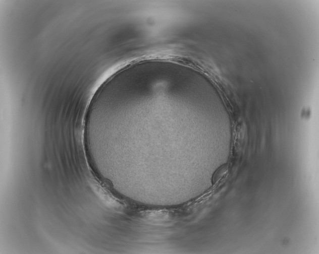 X0000093590100200710291130