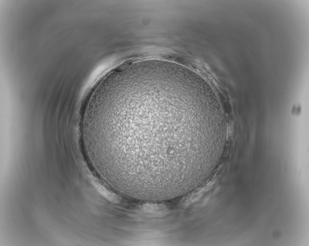 X0000093590101200710291130