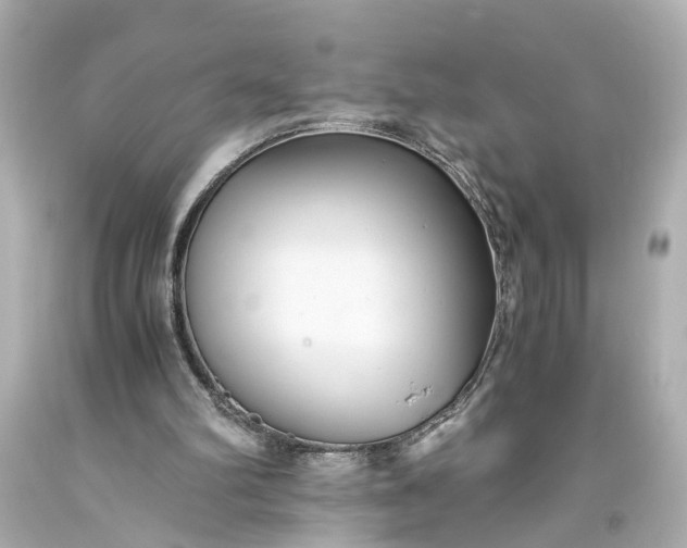 X0000093590102200710291130