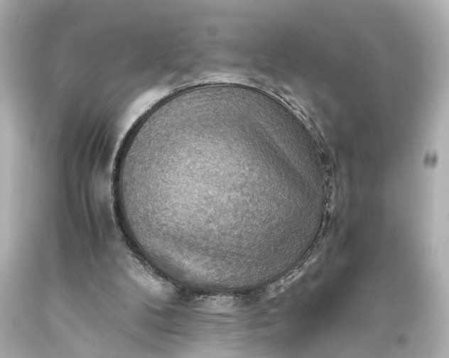 X0000093590104200710291130