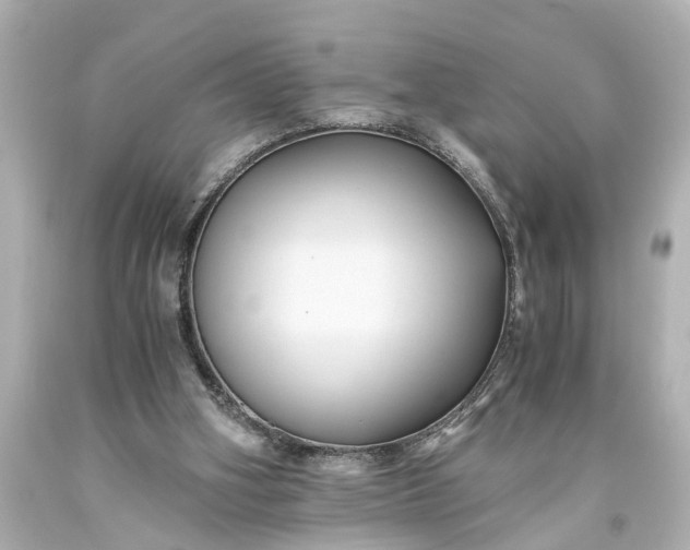 X0000093590106200710291130