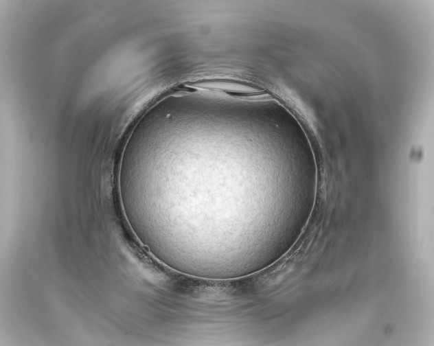 X0000093590107200710291130