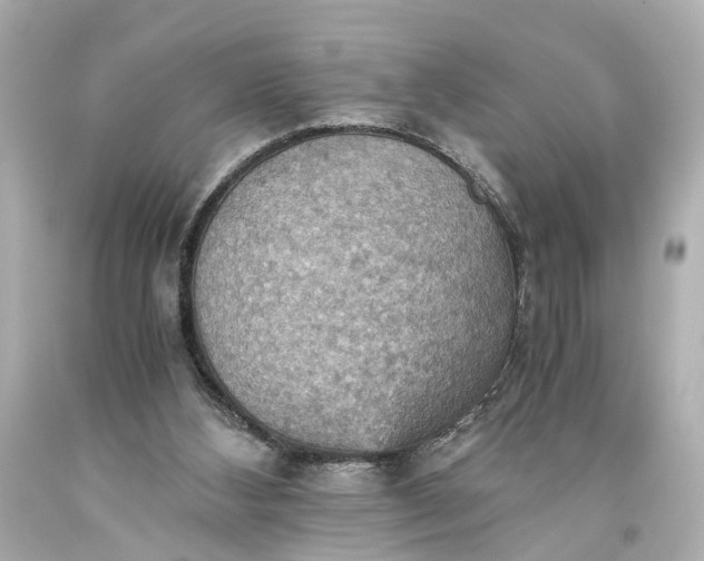 X0000093590108200710291130