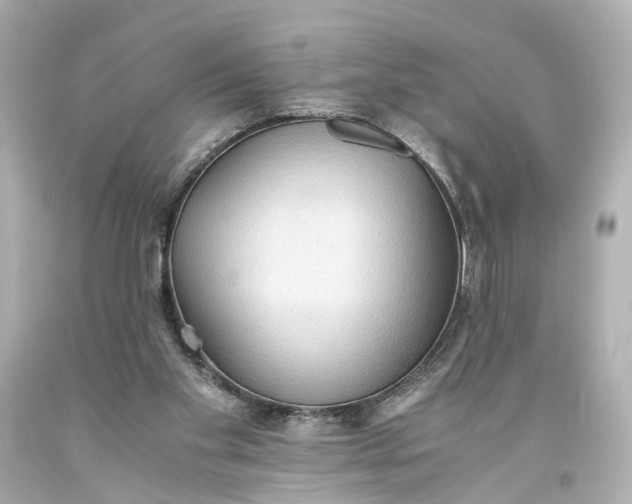 X0000093590109200710291130