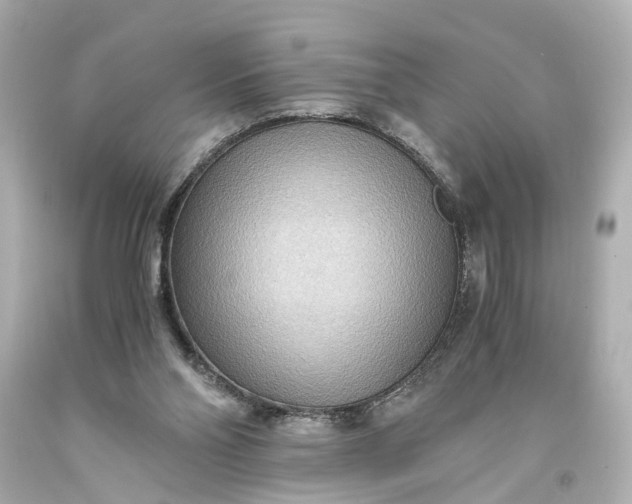 X0000093590110200710291130