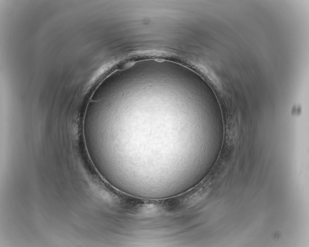 X0000093590111200710291130
