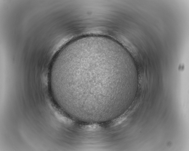 X0000093590112200710291130