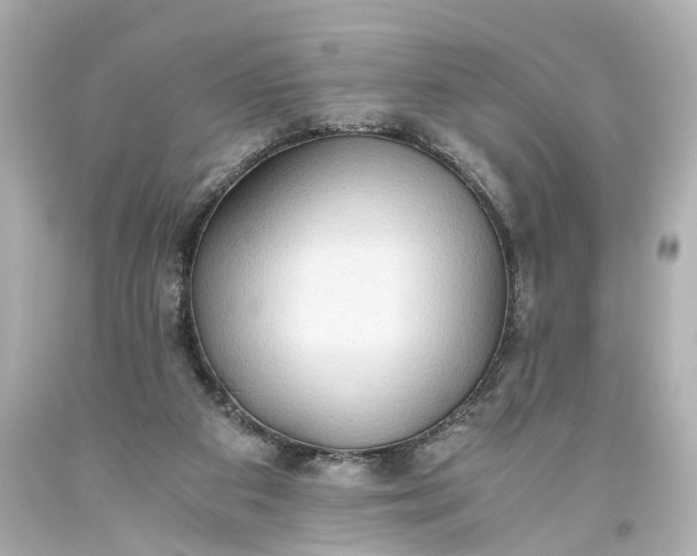 X0000093590113200710291130