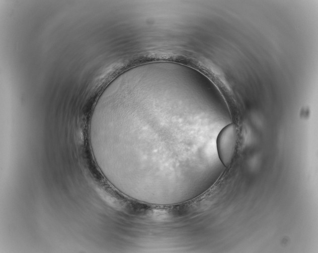 X0000093590114200710291130