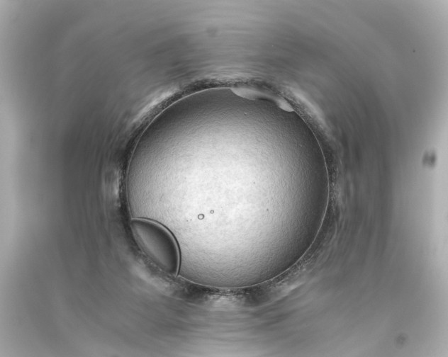 X0000093590115200710291130