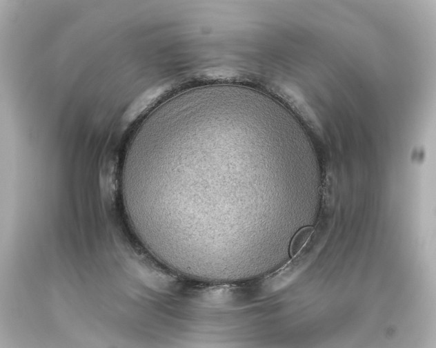 X0000093590116200710291130