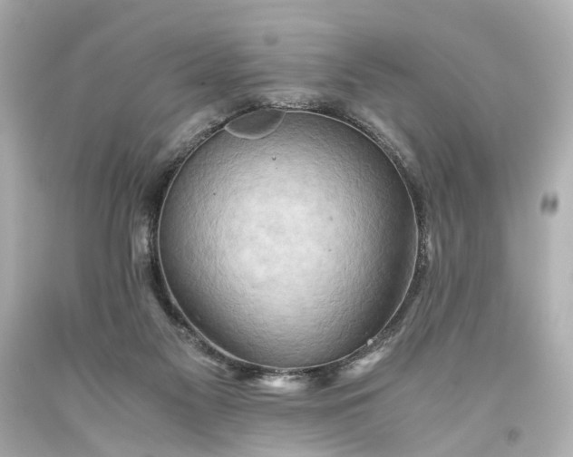 X0000093590117200710291130