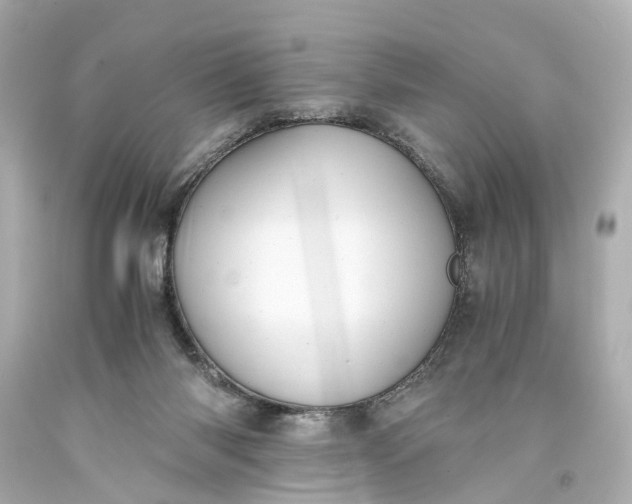 X0000093590118200710291130