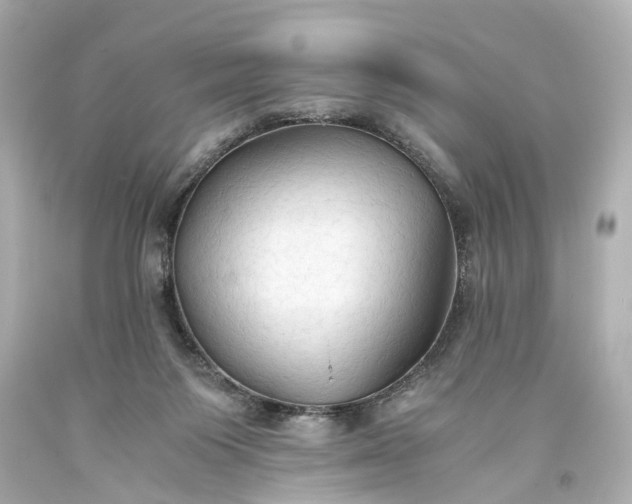 X0000093590119200710291130