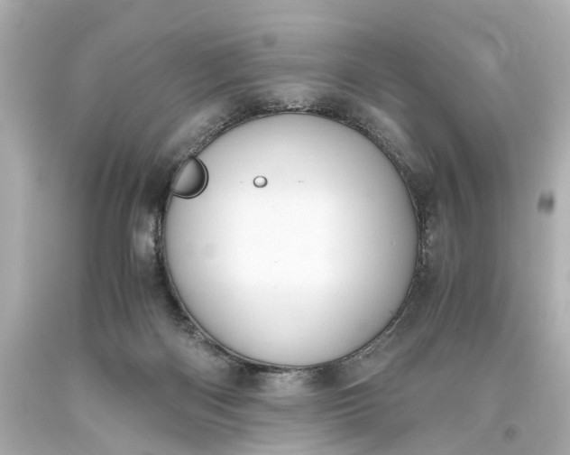 X0000093590122200710291130