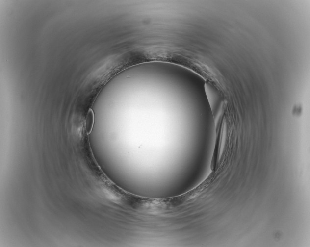 X0000093590125200710291130