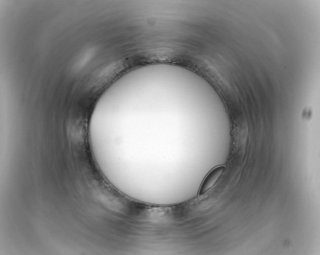 X0000093590126200710291130