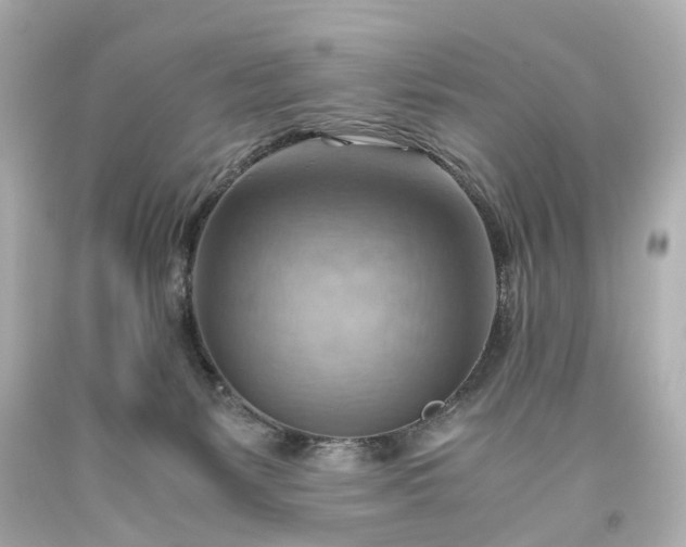 X0000093590127200710291130