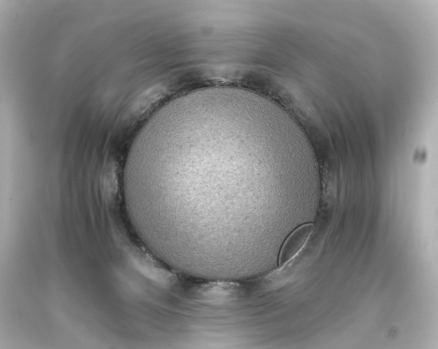 X0000093590128200710291130