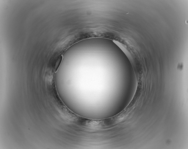 X0000093590129200710291130