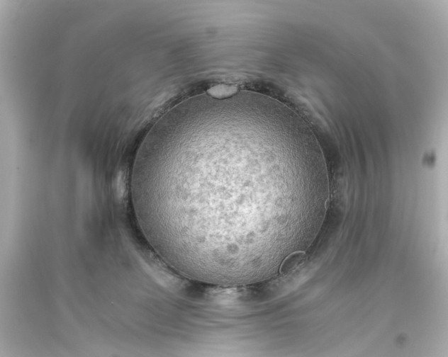 X0000093590131200710291130