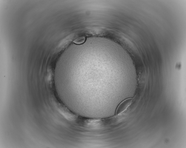X0000093590132200710291130