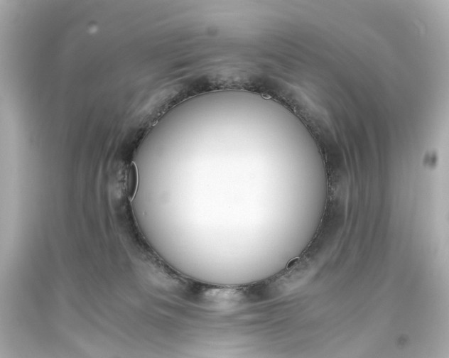 X0000093590133200710291130