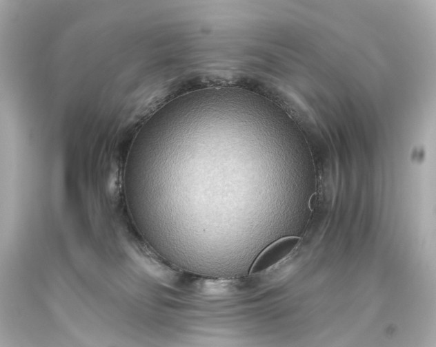 X0000093590134200710291130