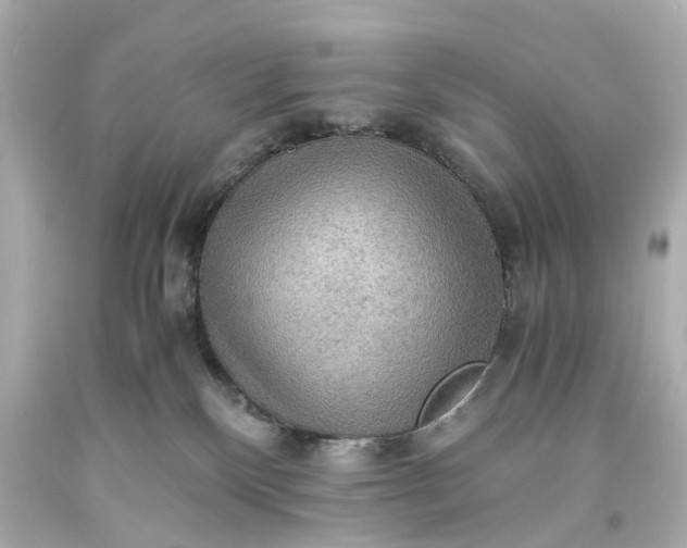 X0000093590136200710291130