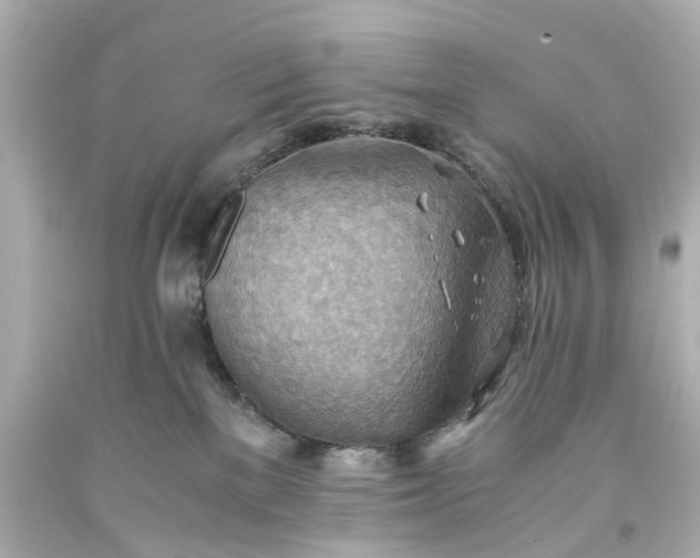 X0000093590137200710291130