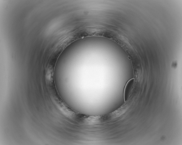 X0000093590138200710291130