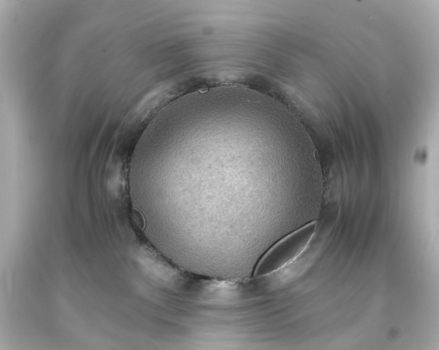 X0000093590140200710291130