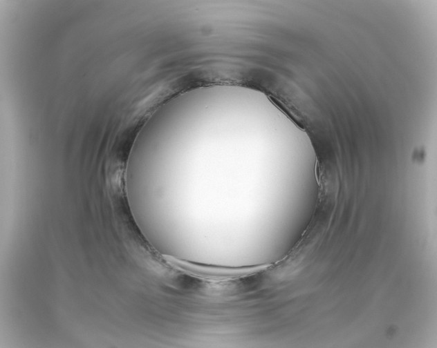 X0000093590141200710291130