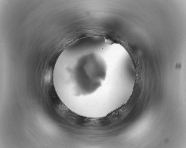 X0000093590143200710291130