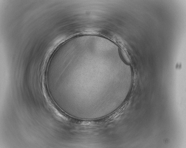 X0000093590145200710291129