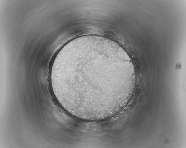 X0000093590146200710291129