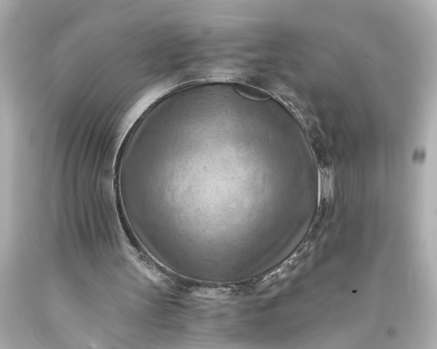 X0000093590147200710291129