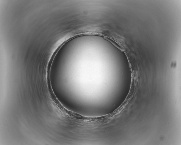 X0000093590148200710291129