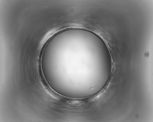 X0000093590151200710291129