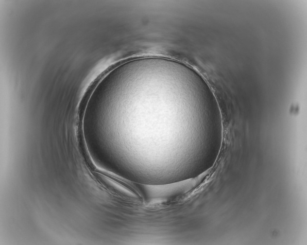 X0000093590152200710291129