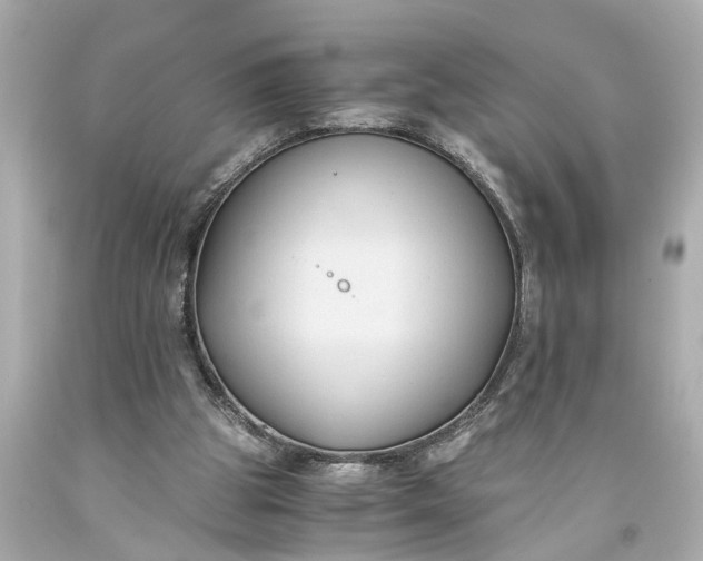 X0000093590153200710291129
