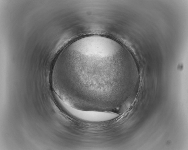 X0000093590154200710291129