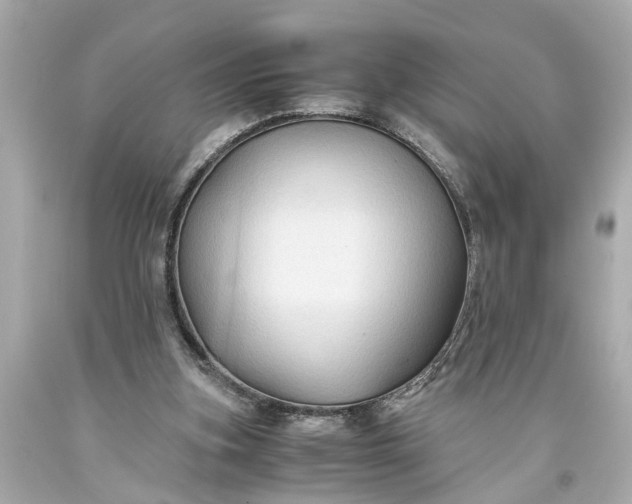 X0000093590155200710291129