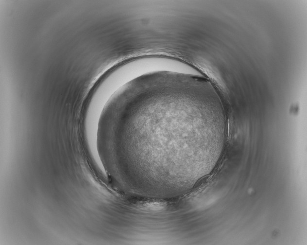 X0000093590156200710291129