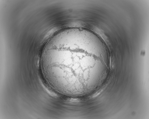 X0000093590157200710291129
