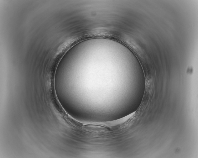 X0000093590158200710291129